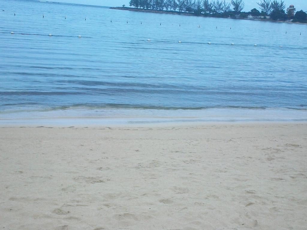 Appartamento Turtle Towers Ocho Rios Esterno foto